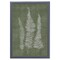 12" x 16" Woodland Ferns I Framed Wall Art, Contemporary Nature Home Décor, Glass Facing and Hanging Hardware Included